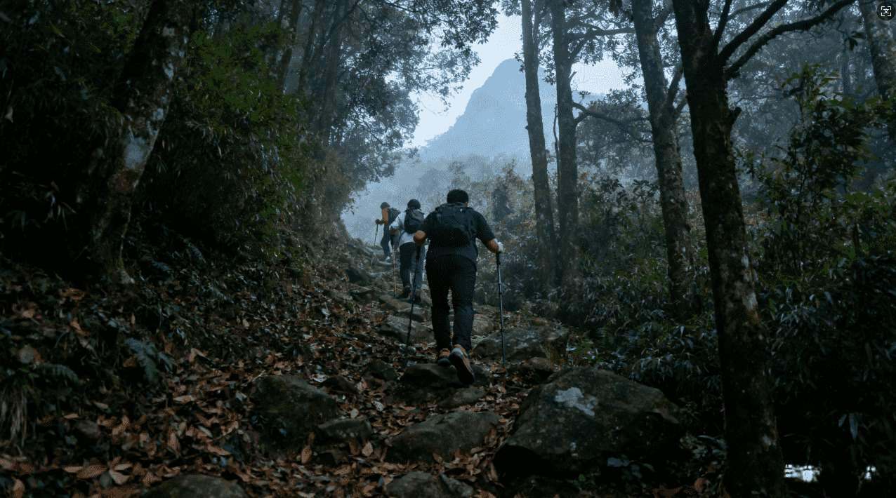 分享风驰加速器链接有效提升访问速度指南